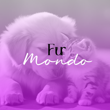 pets_corner