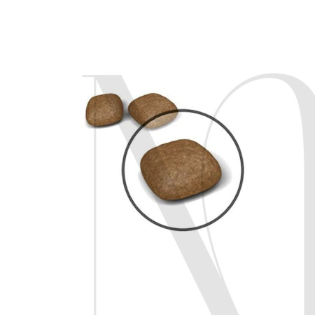fcn22-urinary-care-dry-kibbles-b1