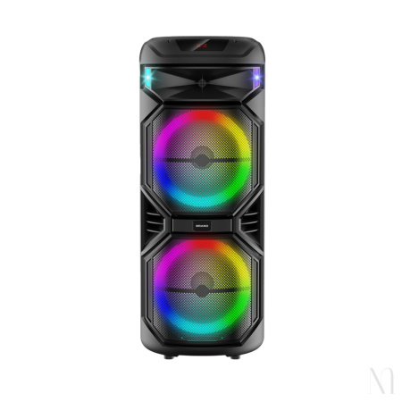 pbt218-super-bass-speaker-12_5-x2